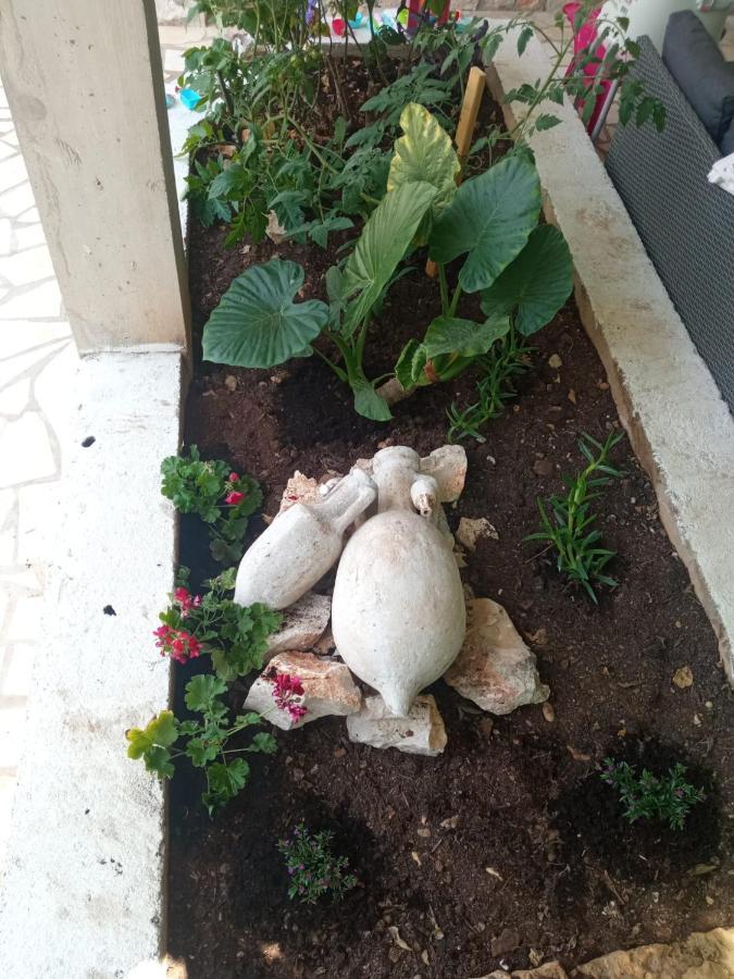 נאום Guest House Inara מראה חיצוני תמונה